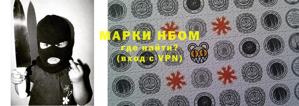 прущие грибы Арсеньев