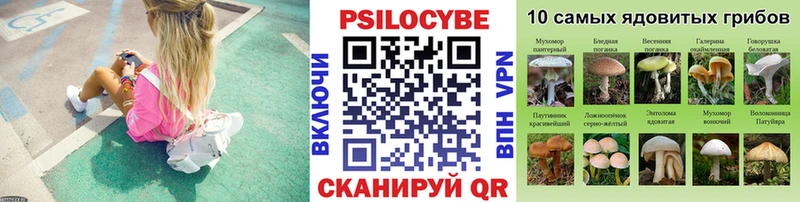 Псилоцибиновые грибы прущие грибы цены наркотик Малмыж